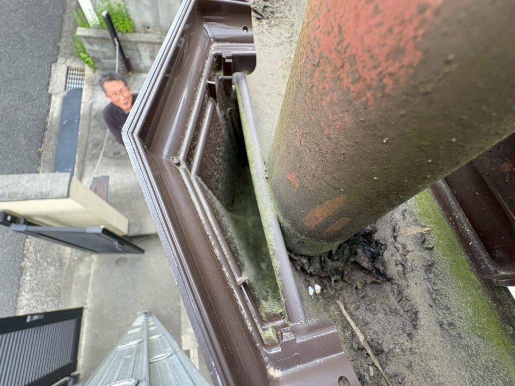 雨樋（あまとい）詰まり状況