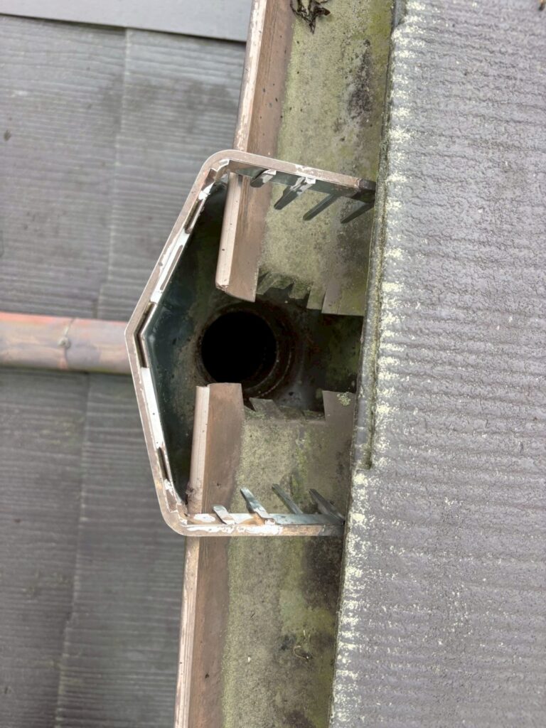 雨樋清掃後