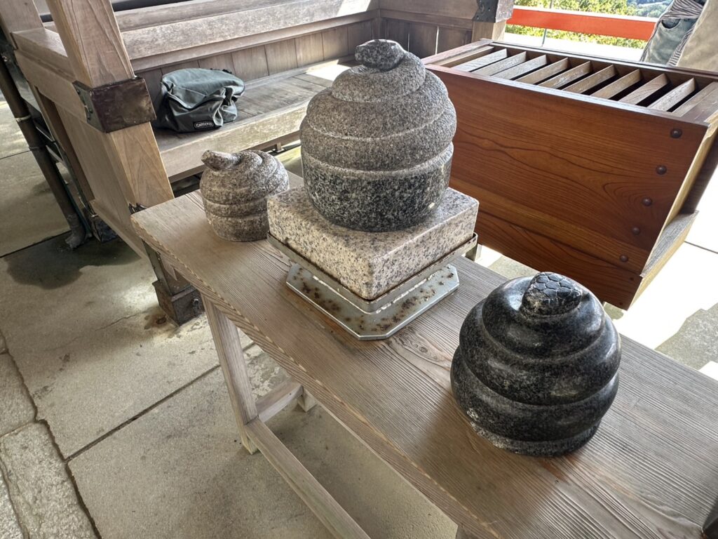 巳さん