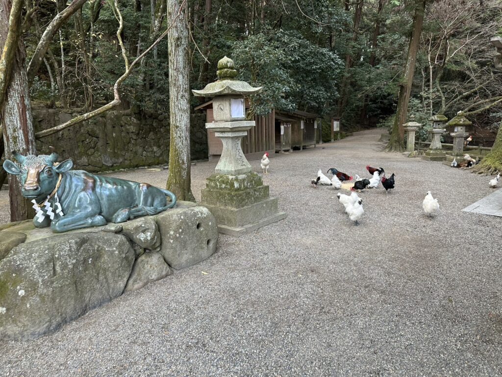 石上神宮にわとり