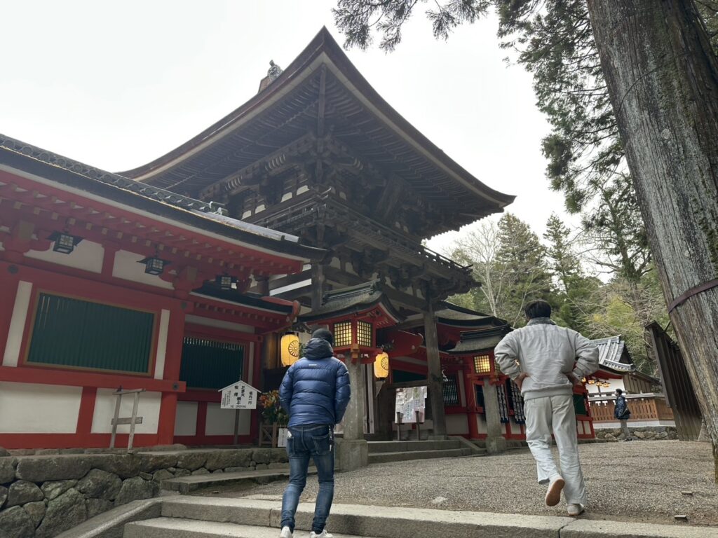 石上神宮桜門